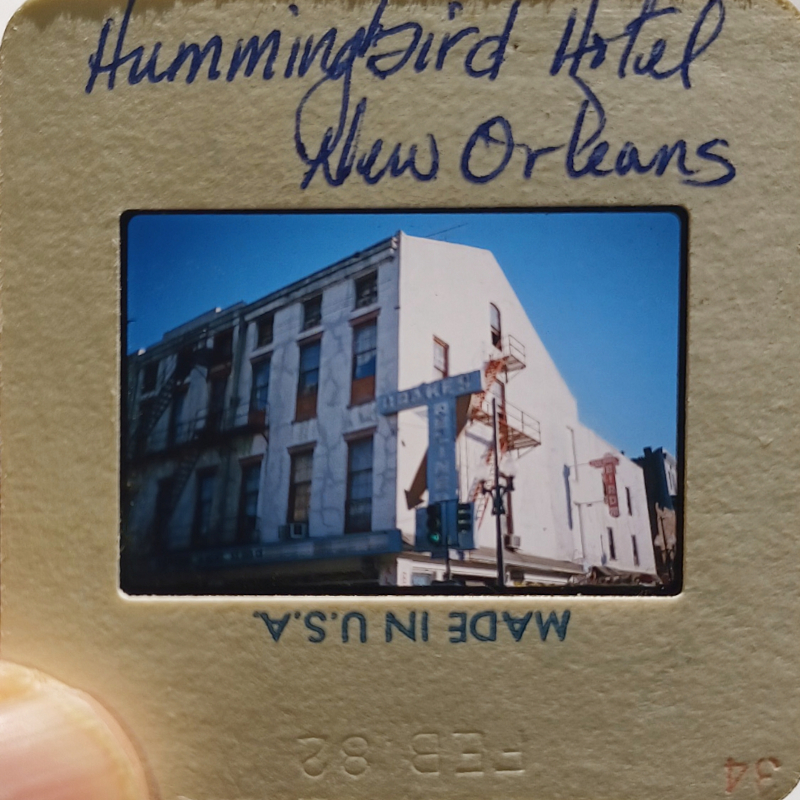 Hummingbird Hotel in New Orleans